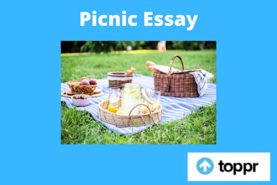 vocabulary-games-for-early-learners-picnic-themed-kindergarten