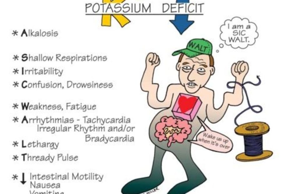 Exploring The Link What Illnesses Can Cause Low Potassium Levels   How To Recognize The Signs And Symptoms Of Low Potassium Hypokalemia 930x620 