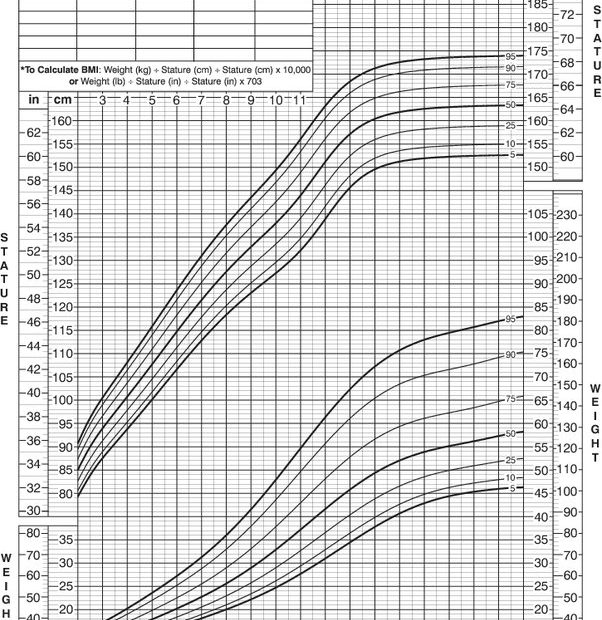 what-is-overweight-for-a-12-year-old-in-pounds-a-guide