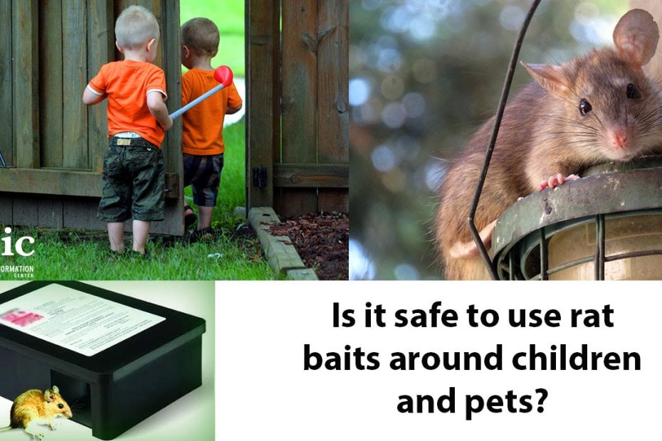 How Do I Make Pet Rat Poison Safe For My Furry Friends?